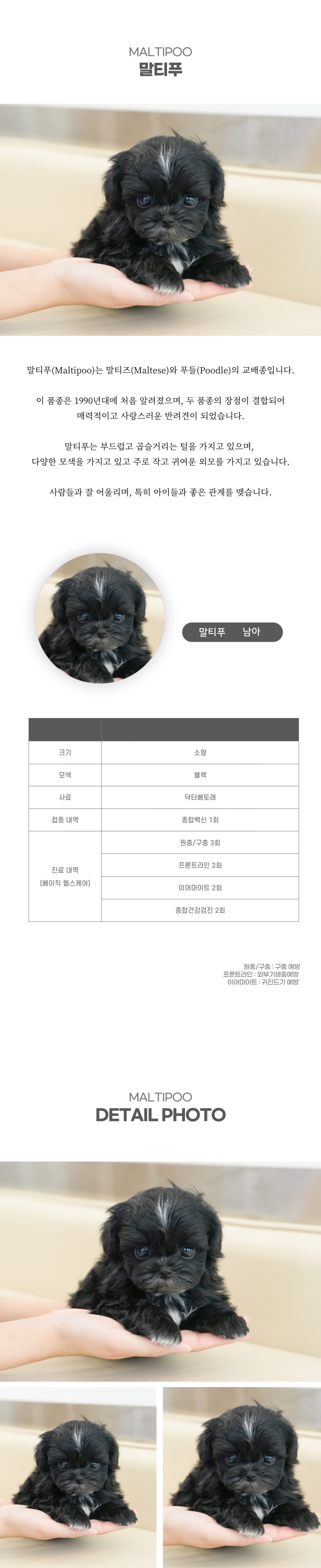 말티푸_상세이미지_2